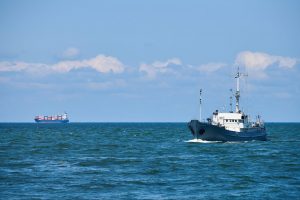 Diagnostic Tools for Marine