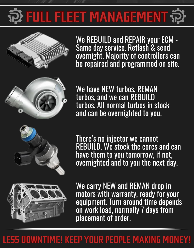 pro diagnostics infographicbrochure
